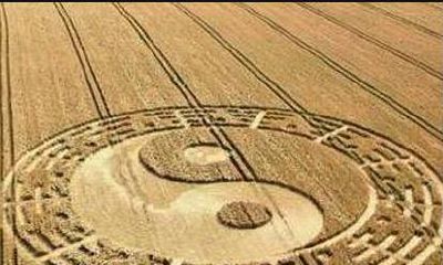 午酉刑，短期牢狱！