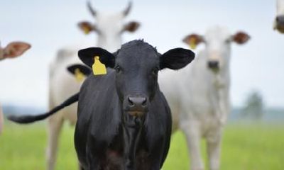 2021辛丑牛年农历十二月二十三日小年什么星座？