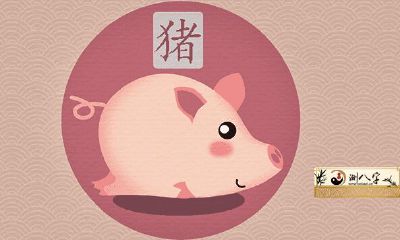 83年大金猪的三大劫难是什么