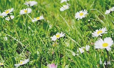 2022年农历六月二十九日是不是黄道吉日？