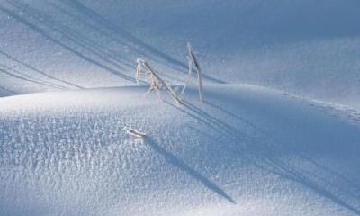 距离2019年大雪还有几天？大雪三候是什么？