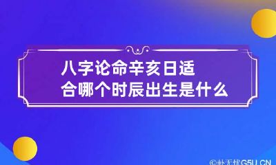八字论命 辛亥日适合哪个时辰出生 是什么命