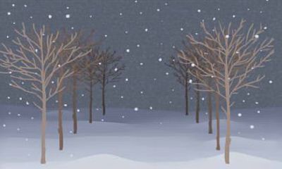 属马的人高考后会有什么打算？