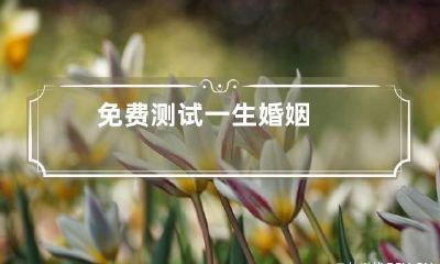 免费测试一生婚姻