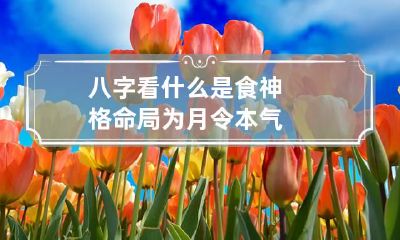 八字看什么是食神格命局 为月令本气