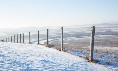 2019年大雪可不可以结婚订婚？2019年腊月适合结婚的吉日是哪天？