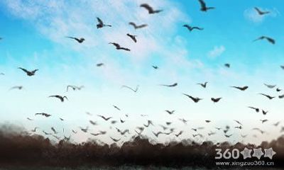 属马的女人是否旺夫呢？