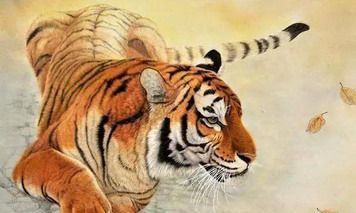 2022年五行属什么年份？生肖虎几月出生财运旺？