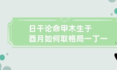 日干论命 甲木生于酉月如何取格局 一丁一庚科甲定显