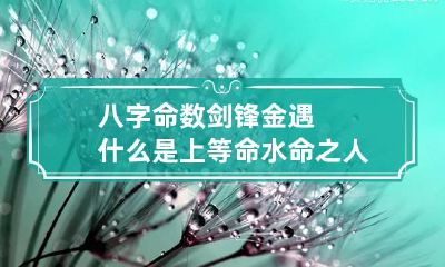 八字命数 剑锋金遇什么是上等命 水命之人利贵人