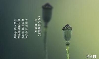 谷雨节气的到来意味着什么？谷雨禁忌有哪些？