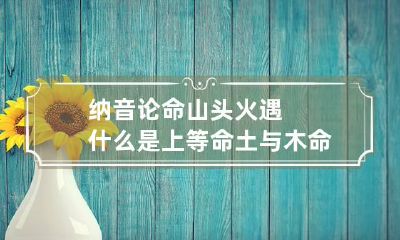 纳音论命 山头火遇什么是上等命 土与木命可促财运