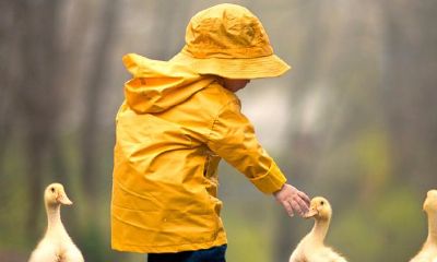 巫姓女孩子取名大全_孩子小名个性
