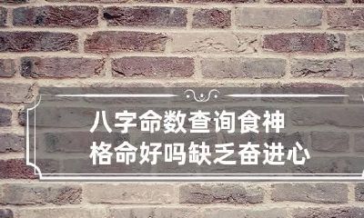 八字命数查询 食神格命好吗 缺乏奋进心