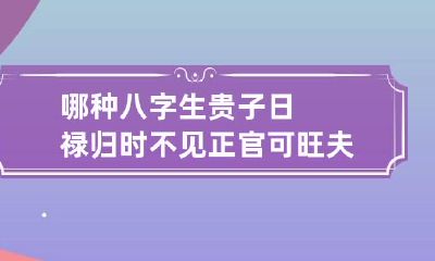 哪种八字生贵子 日禄归时不见正官可旺夫益子