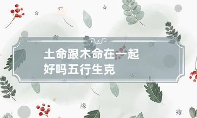 土命跟木命在一起好吗 五行生克