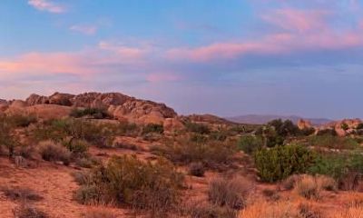 2019年夏至日出时间日落时间，夏至是白天最长的一天吗？