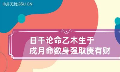 日干论命 乙木生于戌月命数 身强取庚有财生之