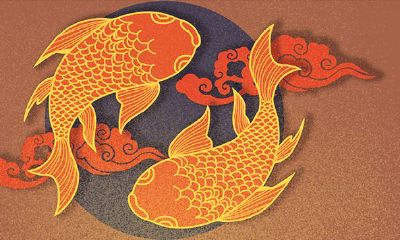 鸡和兔究竟谁克谁啊