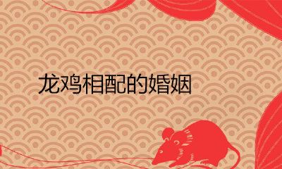 龙鸡相配的婚姻生活怎么样