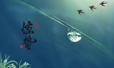 2021年9月7日白露节气出生的人命运怎么样？