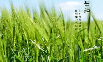 2019年五月初四芒种适合新店开业吗？几点开业比较好？