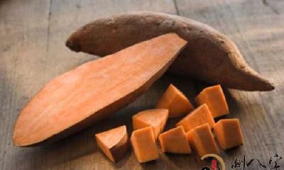 梦见在田里扒地瓜