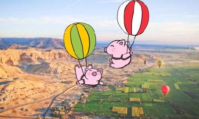 端午节出生的猪宝宝取名规则，名字推荐大全