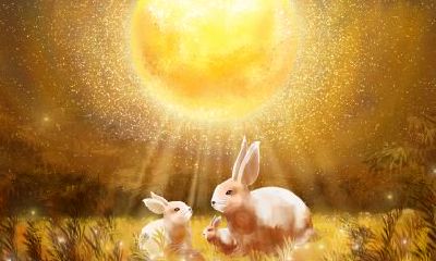 中秋节出生生肖龙命运怎么样？命好吗？