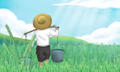 芒种节气的谚语大全,芒种的谚语顺口溜有哪些？