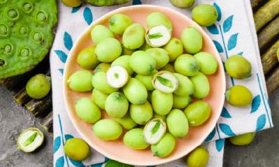 2019年的处暑是几月几号？处暑要注意什么？