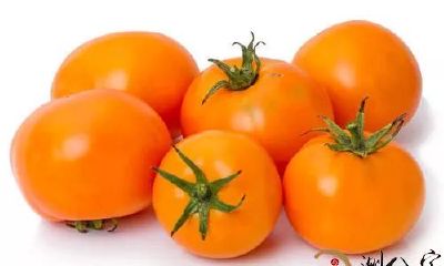 梦见吃淡黄色番茄