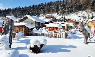 处暑节气出生的生肖猴命运与运势解析