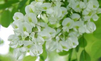 为属马爸爸选礼物