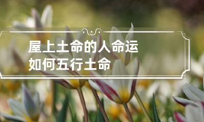 屋上土命的人命运如何 五行土命