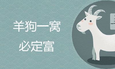 羊狗一窝,必然富是真是假
