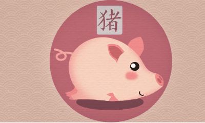 猪猴生肖相配吗