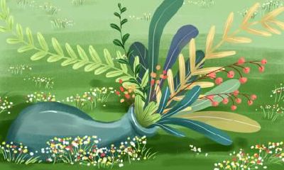 小暑节气注意什么？小暑三候指的是什么？