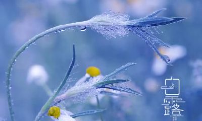 2021年9月7日白露日子好吗？白露象征着什么？