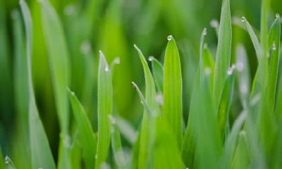 2019年小暑节气搬家乔迁好不好？搬家有何忌讳和讲究？