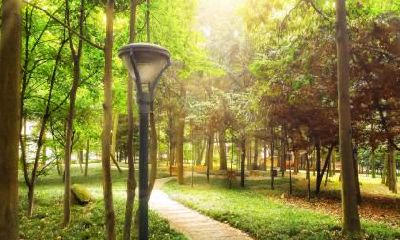 中秋节跟嫦娥有关系吗？中秋意境古诗词！