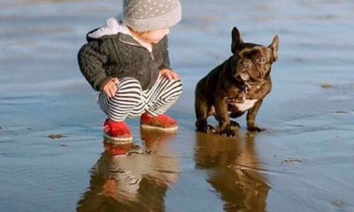 姓慕男孩起名_骆姓男孩起名大全