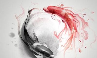 什么是阴阳起名？