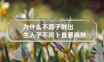 为什么不算子时出生人 子不问卜自惹祸殃