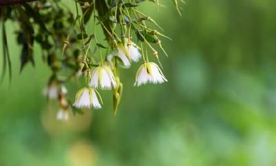 2020年农历正月十一立春可以盖房子吗？财喜神方位在哪？