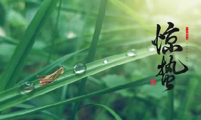 惊蛰为什么要吃梨，惊蛰吃梨有什么好处？