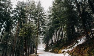 处暑之后天气还热吗？处暑是什么意思？