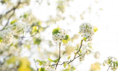 小暑的诗词歌赋一览,描写小暑节气的古诗词有哪些？