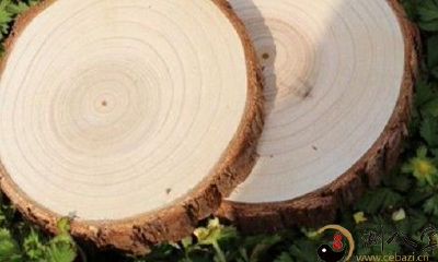 梦见大元木滚落