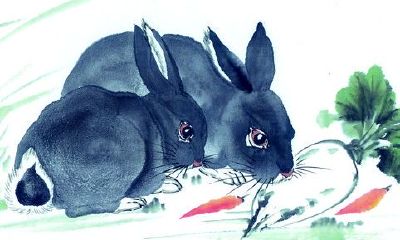 申时出生生肖兔命运分析